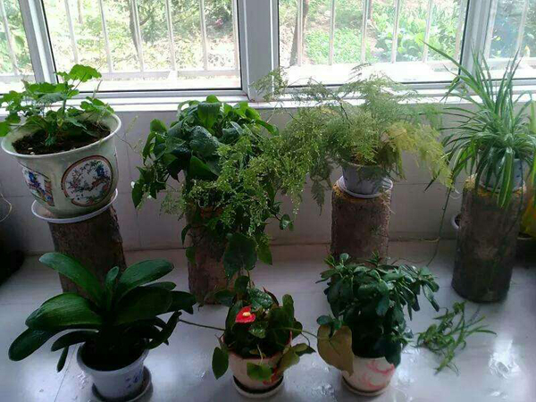 梅州结束防汛Ⅳ级应急响应