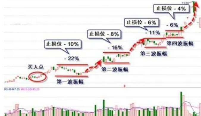专用号牌分四号段分类管理
