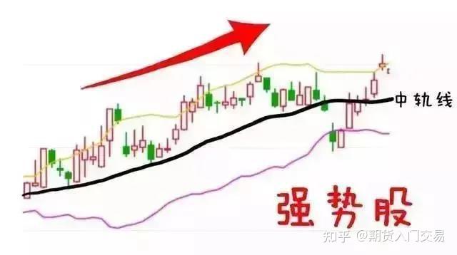 广东一周新增336例基孔肯雅热病例，专家：总体平稳，散发为主