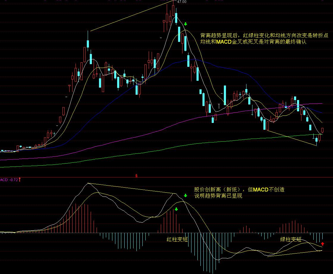 全国档案查询利用服务平台移动端APP上线